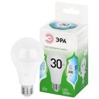 Лампа светодиодная GREEN LINE A65-30W-840-E27 GL 30Вт груша 4000К яркий свет бел. E27 Эра Б0067144