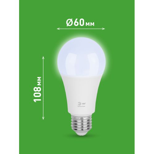 Лампа светодиодная GREEN LINE A60-25W-865-E27 GL 25Вт груша 6500К свет холод. E27 Эра Б0067111