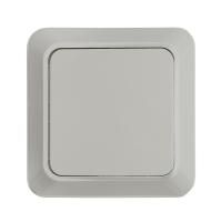 Выключатель 1-кл. ОП Bolleto 10А IP20 7021 бел. ASD / IN HOME 4680005959747