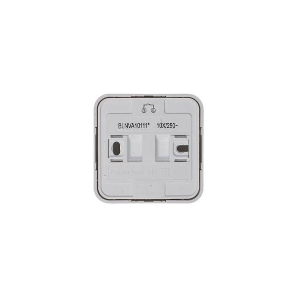 Выключатель 1-кл. ОП Blanca 10А IP20 (сх. 1) 250В с изолир. пластиной бел. SE BLNVA101011