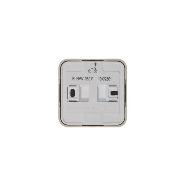 Выключатель 2-кл. ОП Blanca 10А IP20 (сх. 5) 250В с изолир. пластиной беж. SE BLNVA105017
