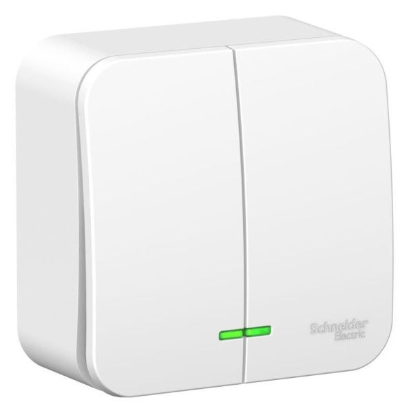 Выключатель 2-кл. ОП Blanca 6А IP20 (сх. 5) 250В с подсветкой с изолир. пластиной бел. SE BLNVA065111
